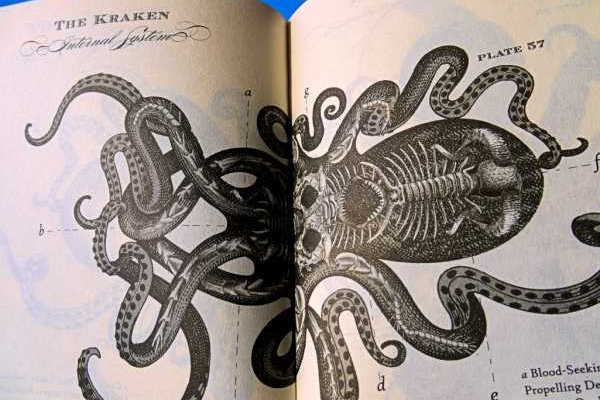 Кракен настоящий сайт