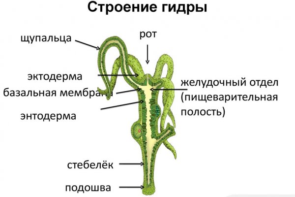 Кракен макет плейс