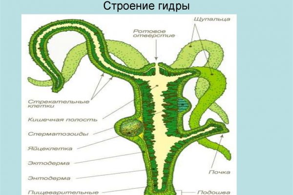 Активная ссылка на кракен