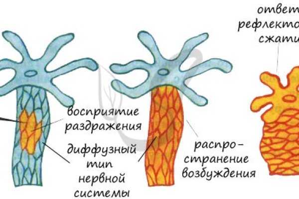 Kraken официальная ссылка tor